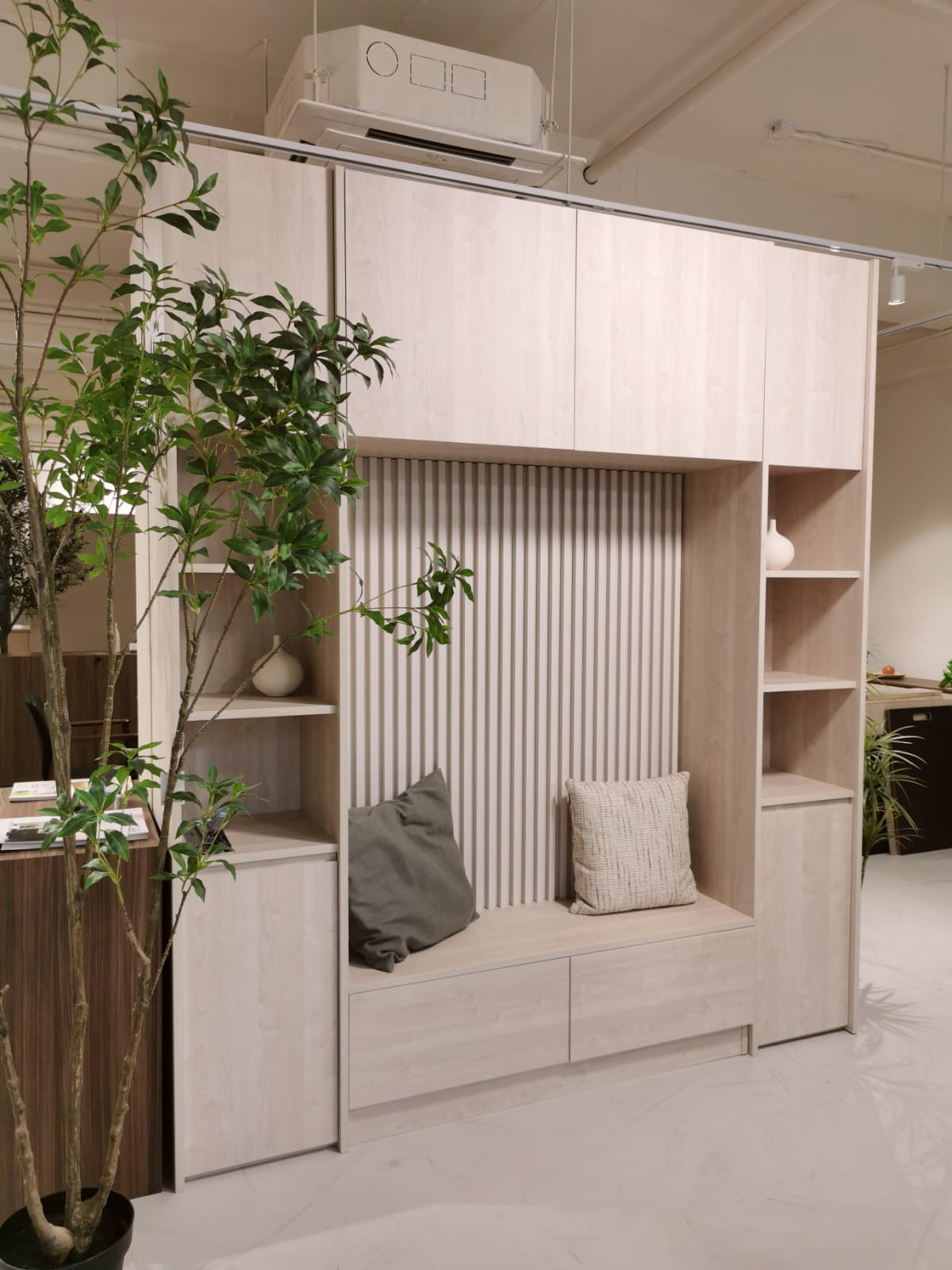 Positive Cabinet 1003A