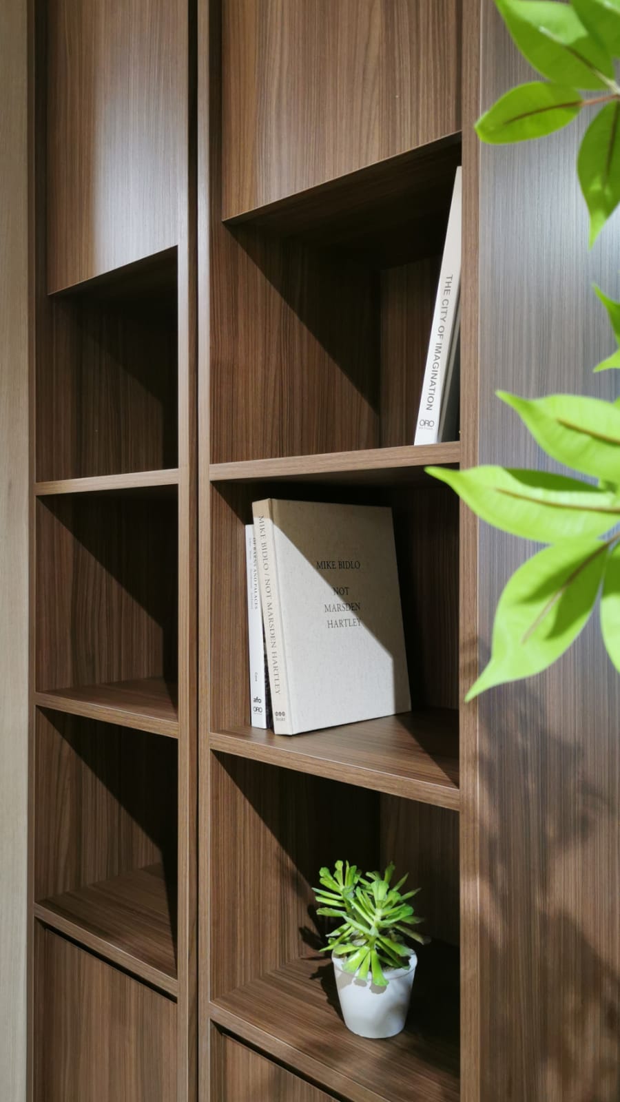 Positive Cabinet 1003A