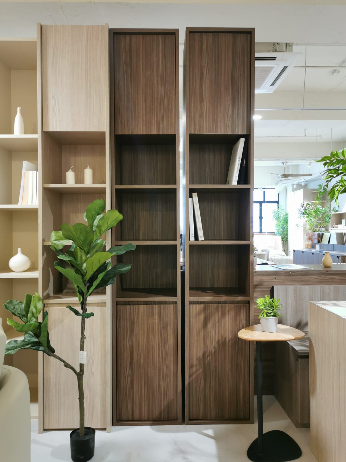 Positive Cabinet 1003A