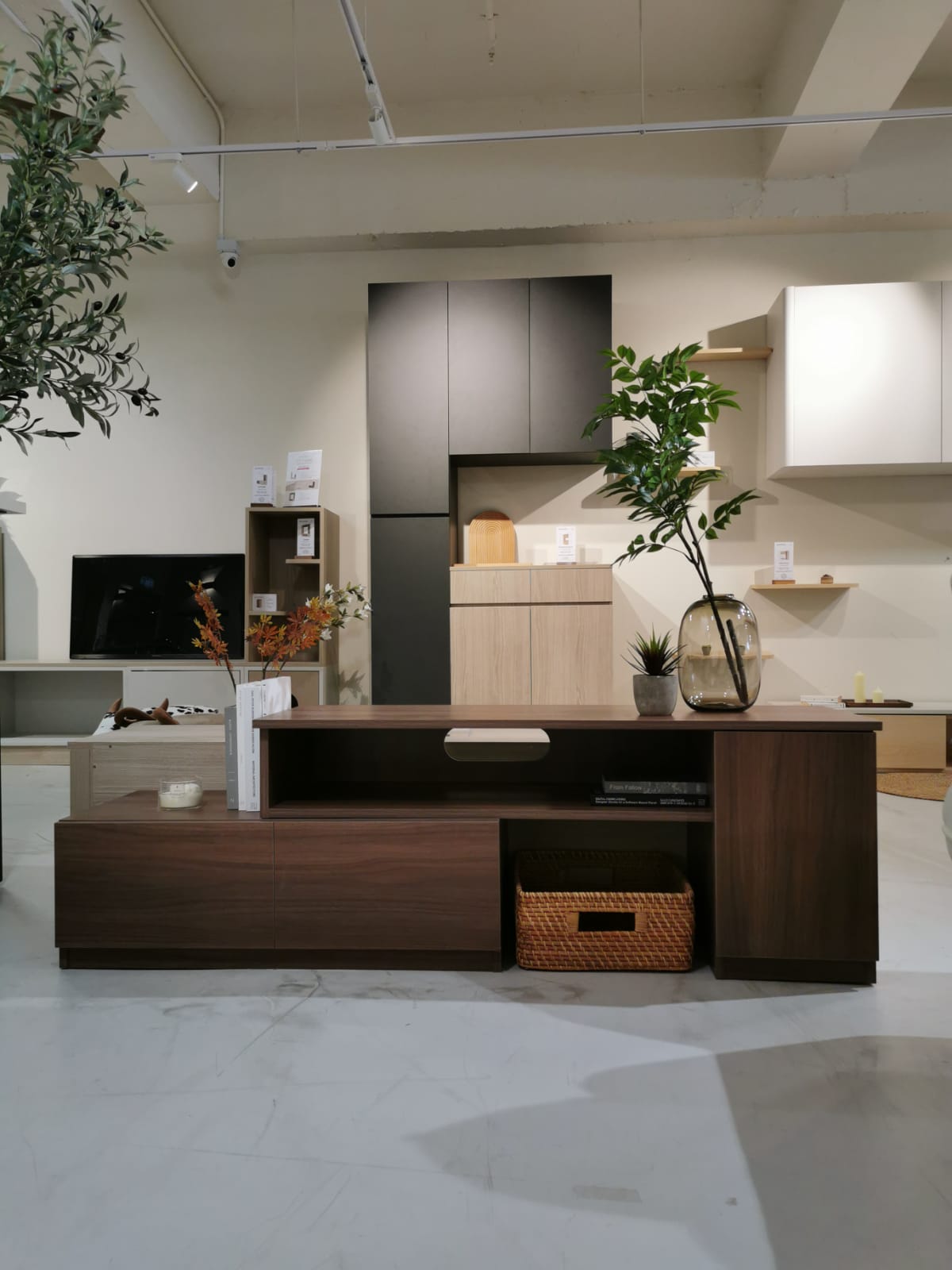 Curiosity Expandable TV Cabinet 1045