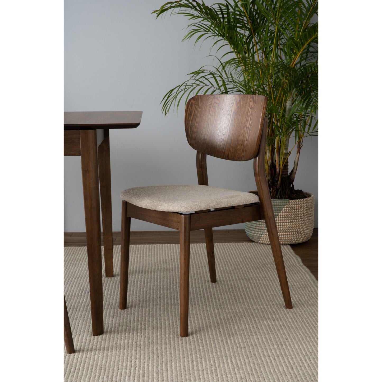 ROCHEL DINING CHAIR 109/6671